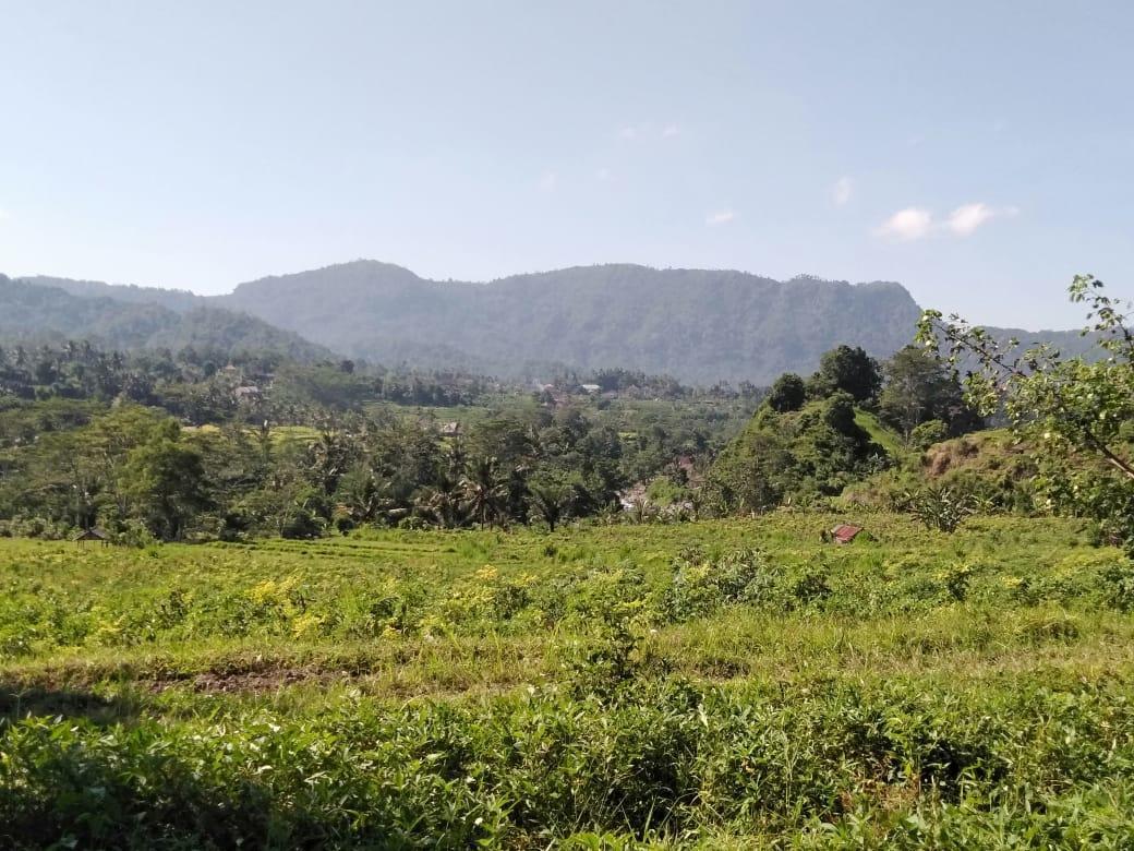 Pondok Indah Homestay Sidemen  Zewnętrze zdjęcie