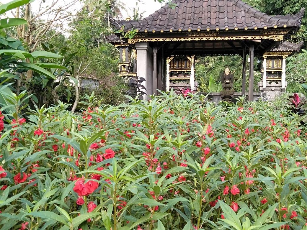 Pondok Indah Homestay Sidemen  Zewnętrze zdjęcie