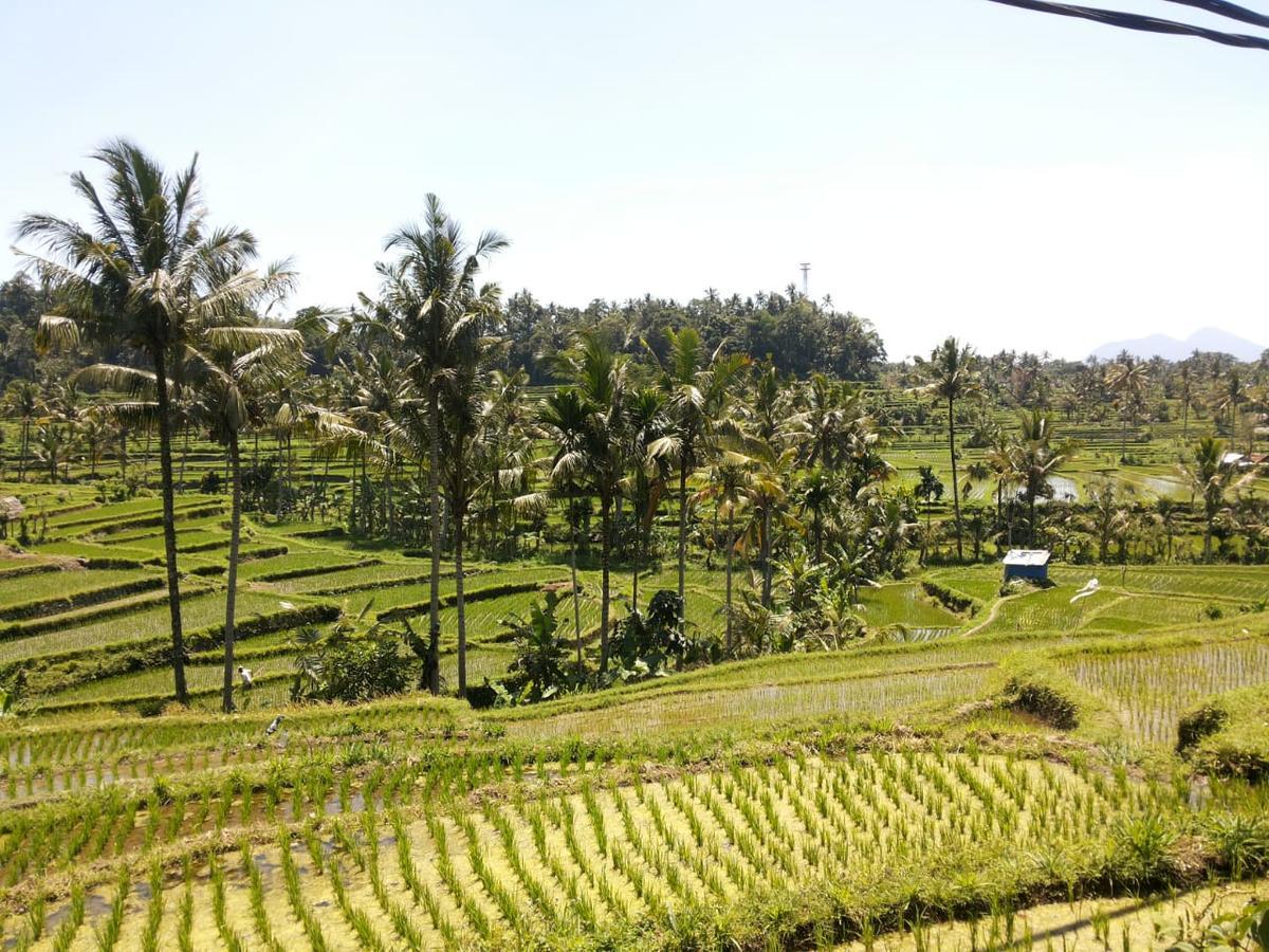 Pondok Indah Homestay Sidemen  Zewnętrze zdjęcie